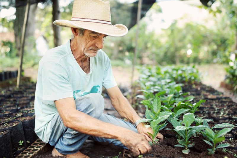 Fazenda Ambiental Fortaleza