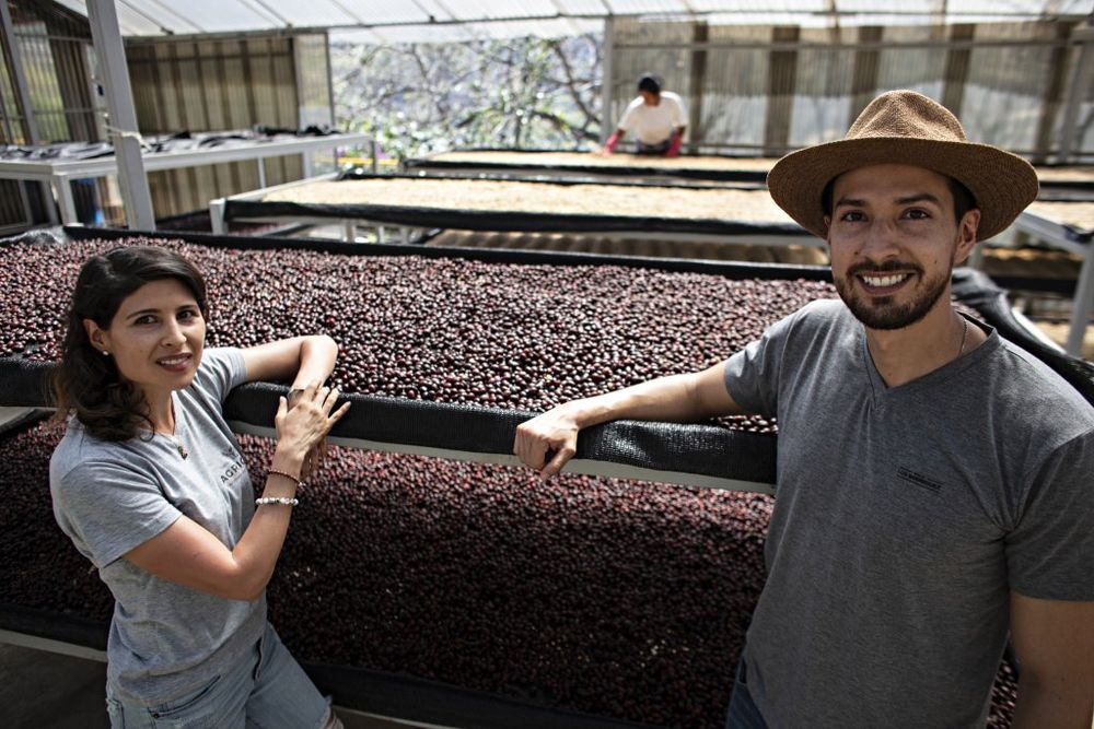 Biography: Rodriguez Family