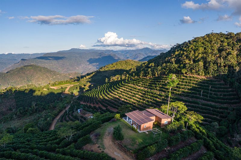 Rodriguez - Agricafe