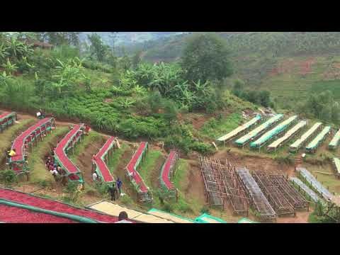 Zpracovatelský závod Heza