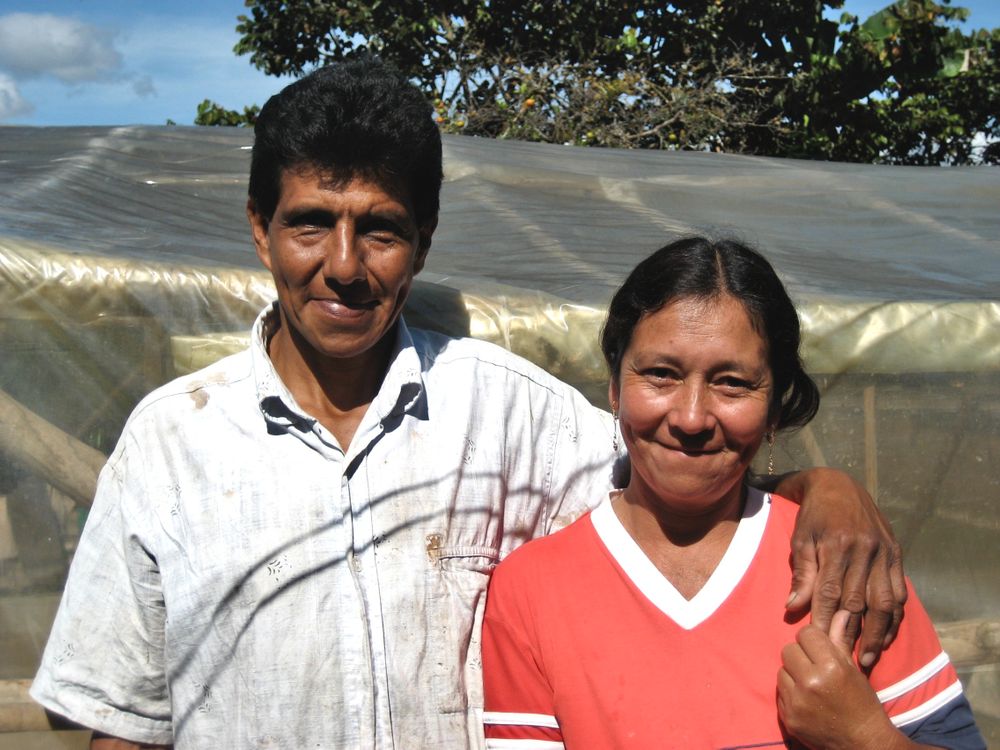 Profil producenta