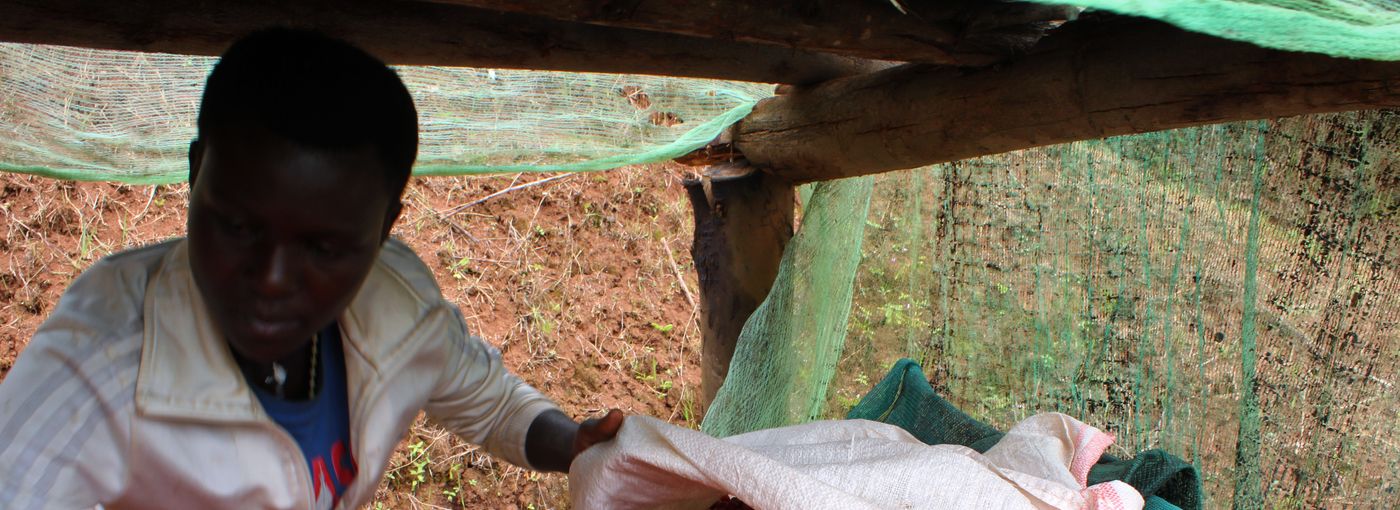 Burundi – Letos bez Mikuby