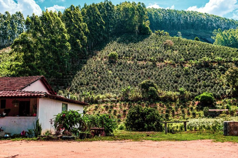 We take responsibility seriously