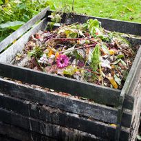 Domácí kompost