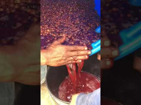 Anaerobic fermentation III.