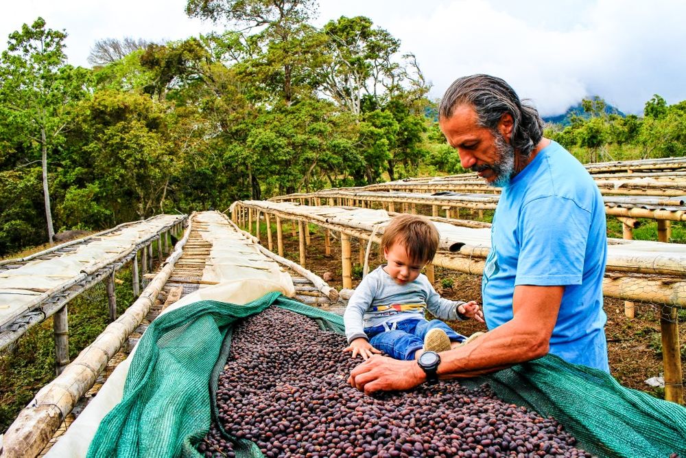 Profil producenta