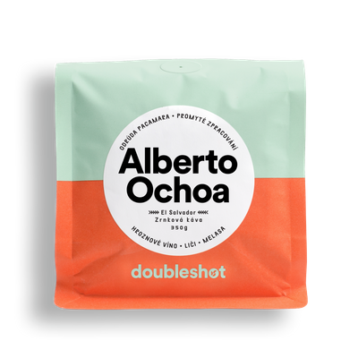 El Salvador Alberto Ochoa