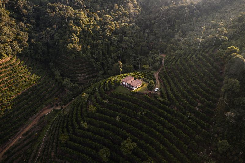 Rodriguez - Agricafe