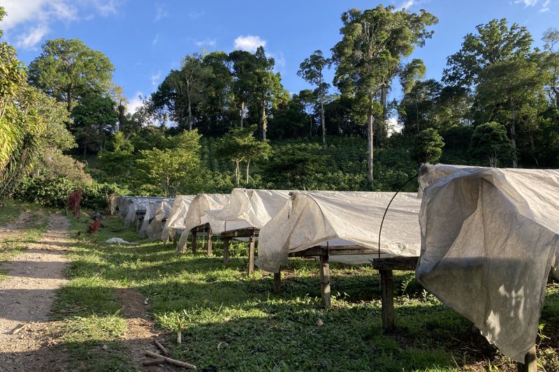 Finca Hartmann