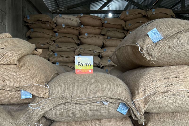 Francisco Mena - Sumava