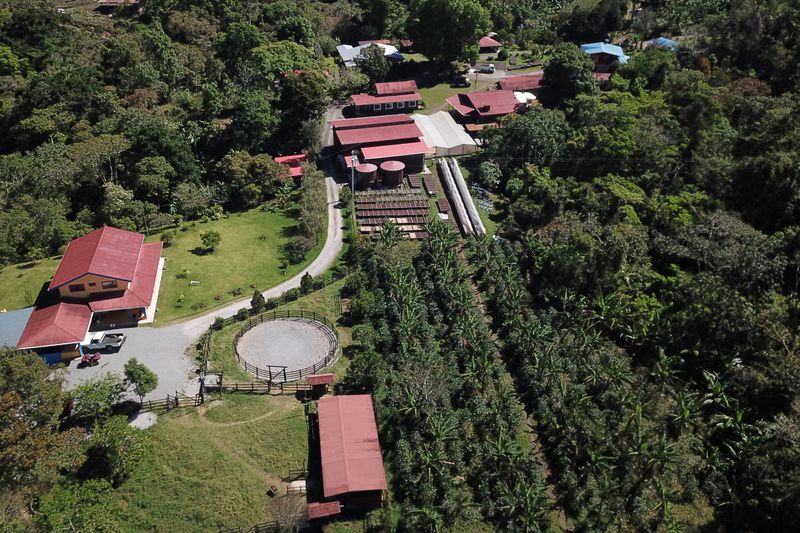 Finca Hartmann