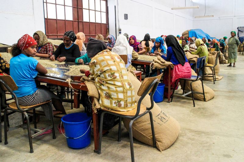 Heleanna Georgalis - Moplaco