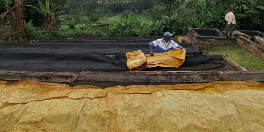 Keňa - cesta za novým partnerstvím