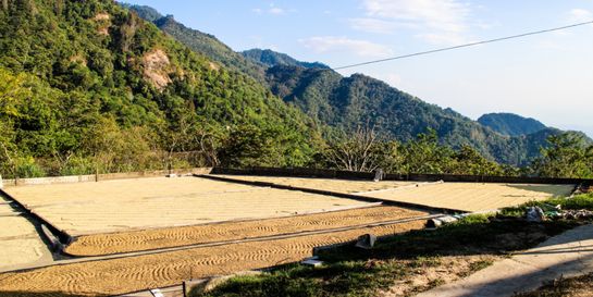 El Salvador Káva ze země Spasitele