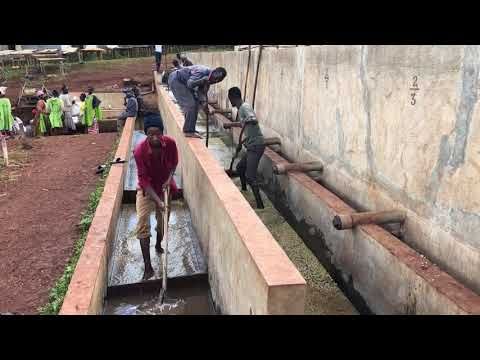 Promývání kávy | Etiopie Foge