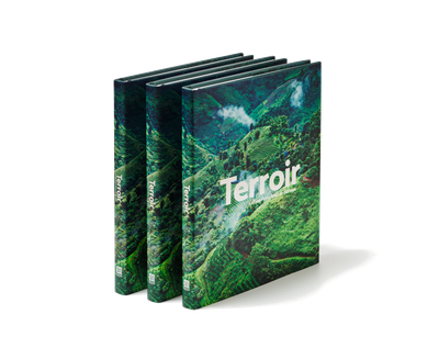 Kniha Terroir