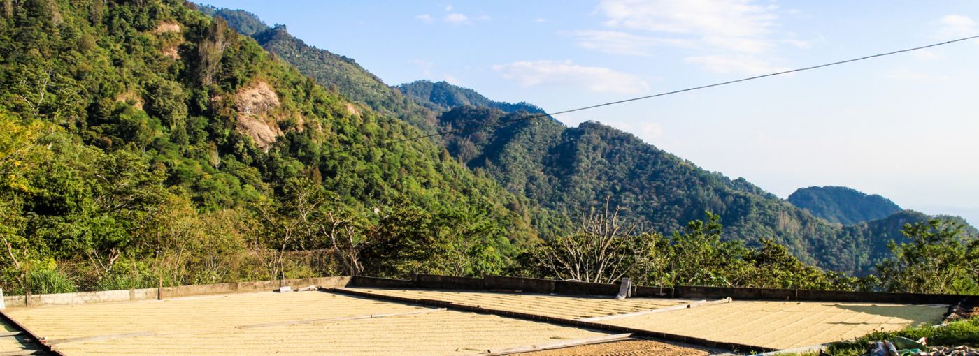 El Salvador Káva ze země Spasitele