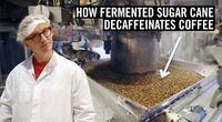 EA decaf