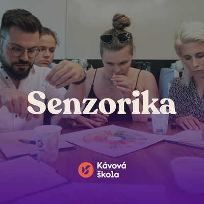 Sensory Course