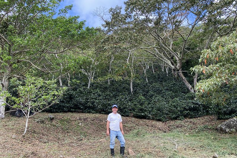 Finca Momoto - Aliss Hartmann