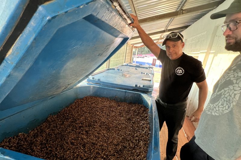 Francisco Mena - Sumava