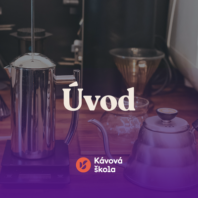 Úvod do světa kávy
