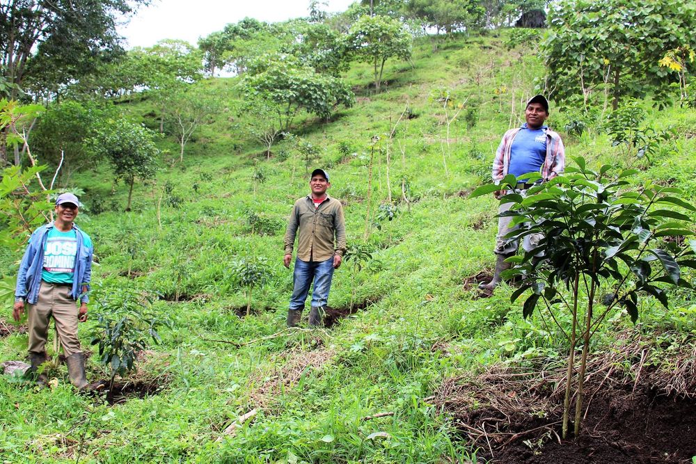 Finca Momoto