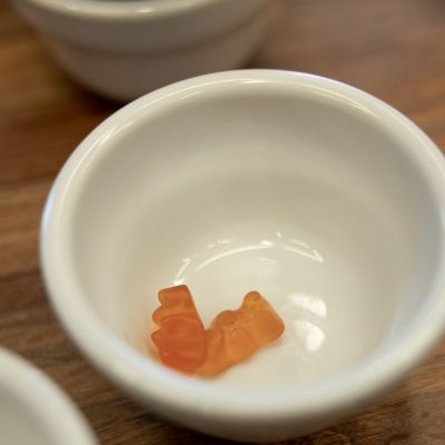 Sensory Course