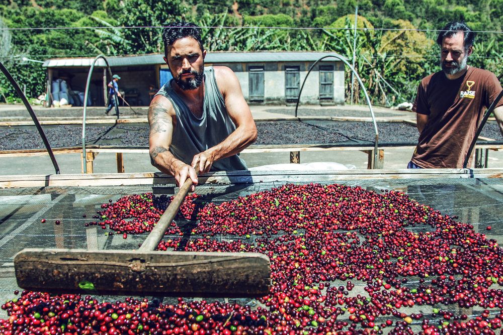 Chcete se dozvědět víc o samotné farmě?