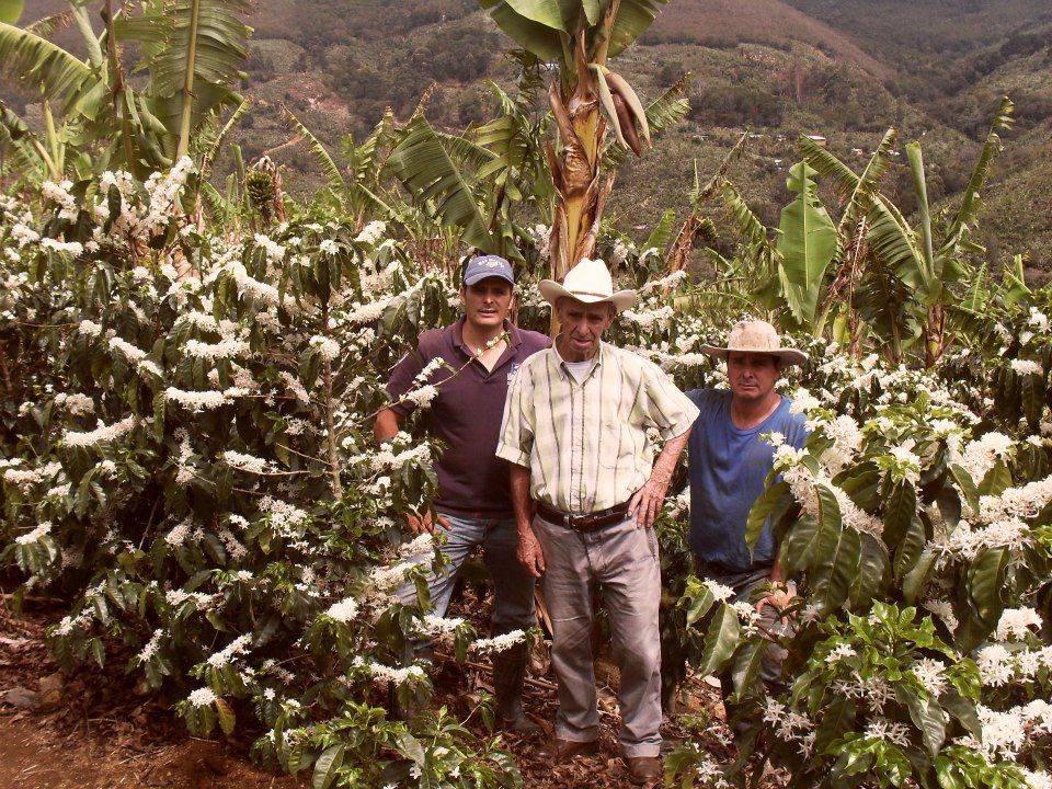 Přečtěte si víc o farmě Don Oscar