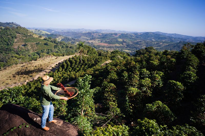 Fazenda Ambiental Fortaleza