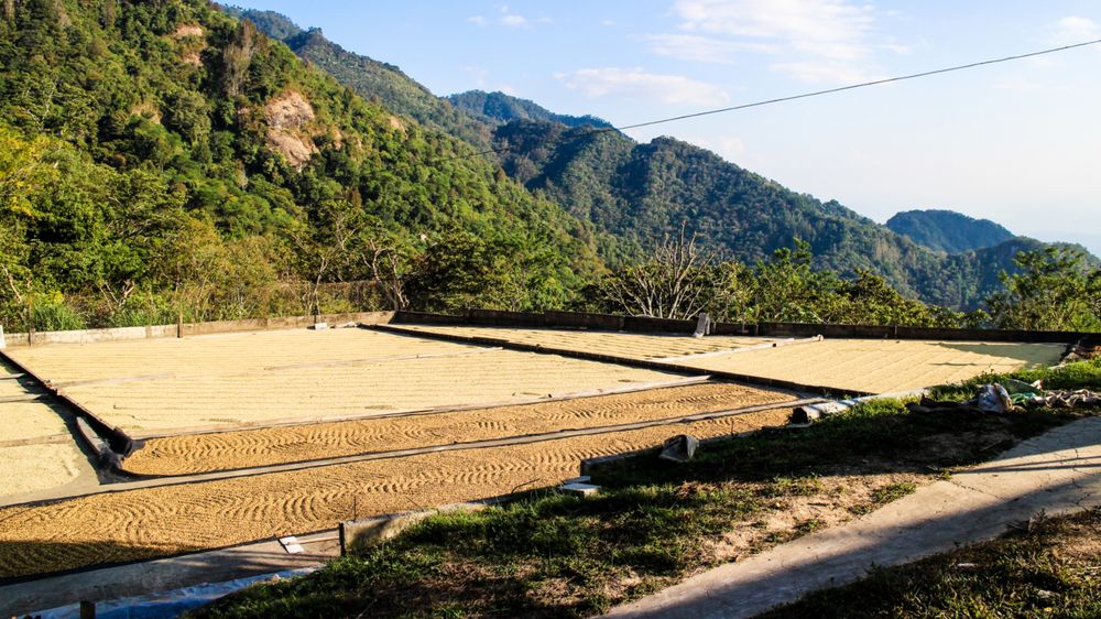 El Salvador Káva ze země Spasitele