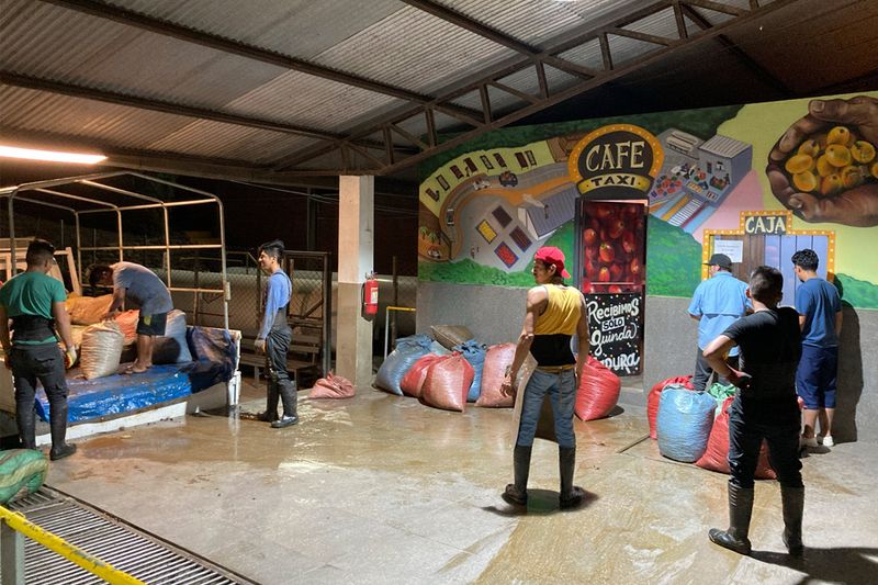 Rodriguez - Agricafe