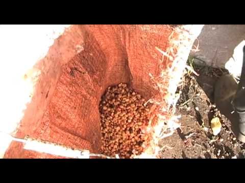 Honey process