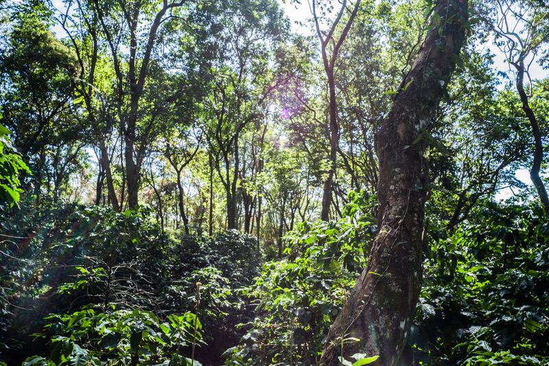 Fazenda Ambiental Fortaleza