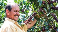 Profil producenta