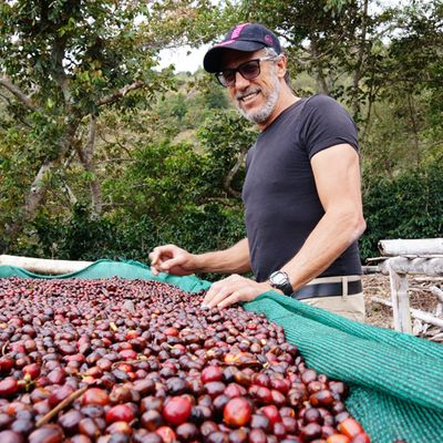 Panama Los Lajones Geisha