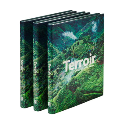 Kniha Terroir