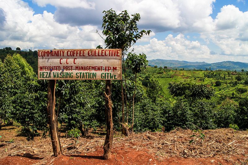 Long Miles Coffee