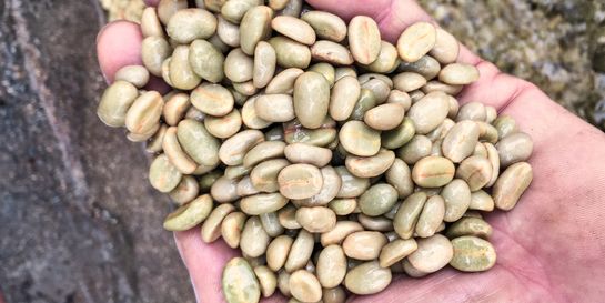 Za všechno mohou mikroby