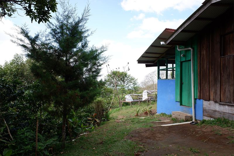 Finca Momoto - Aliss Hartmann