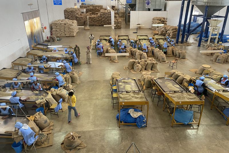 Heleanna Georgalis - Moplaco