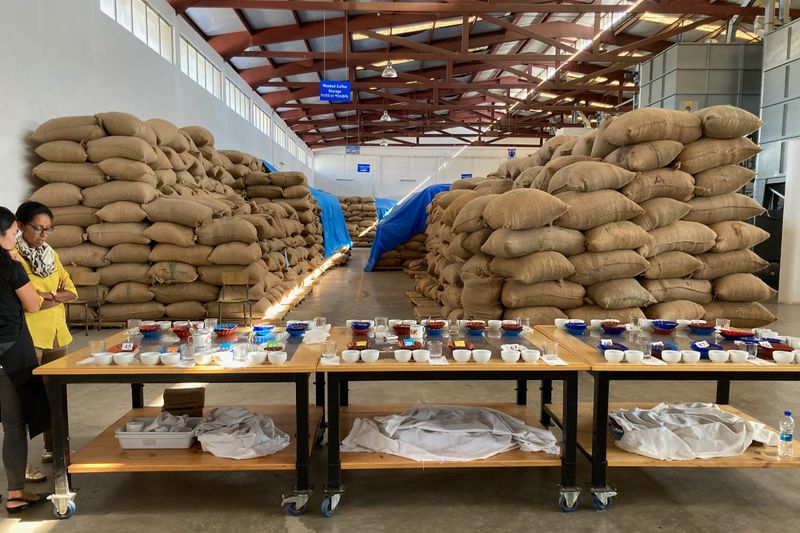 Heleanna Georgalis - Moplaco