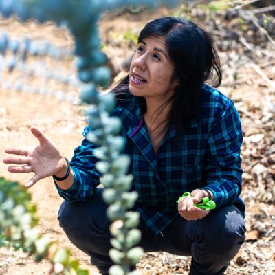 Meet Our Partner Producer