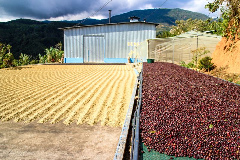 Los Angeles - rodina Calderón