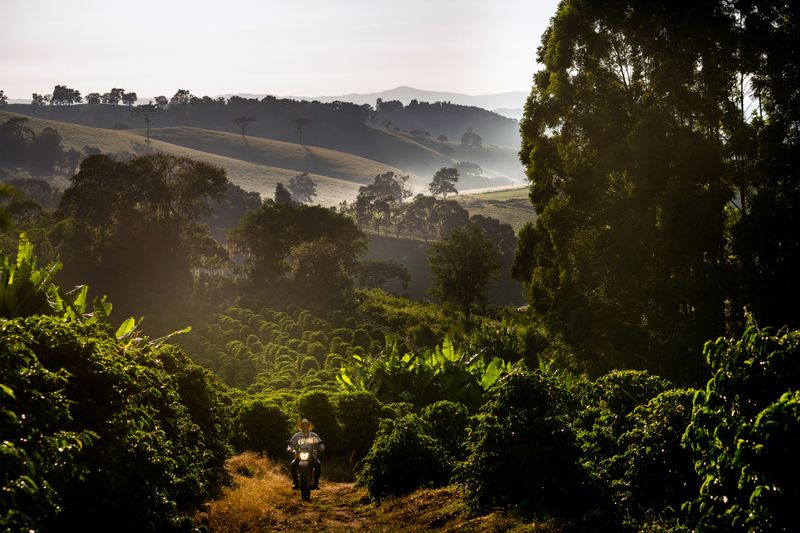 Fazenda Ambiental Fortaleza